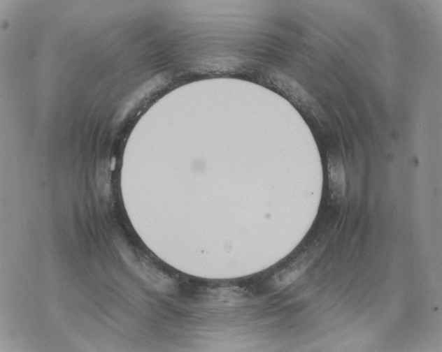 X0000074330396200609152102