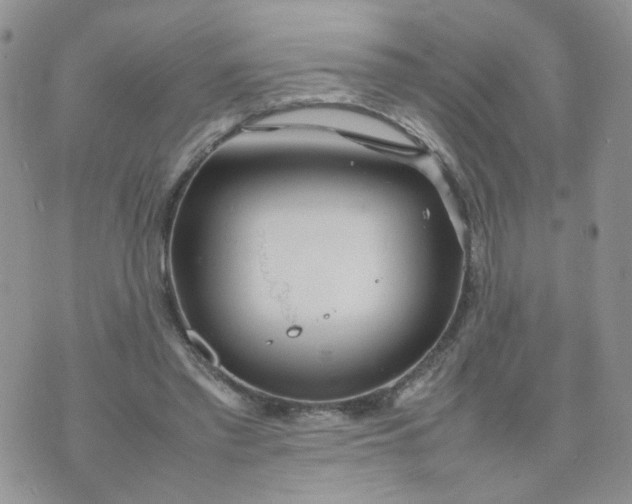 X0000074330397200609152102