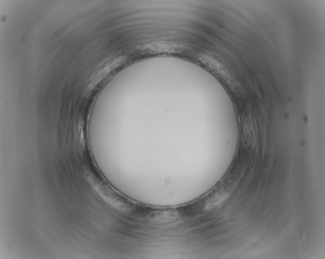 X0000074330398200609152102