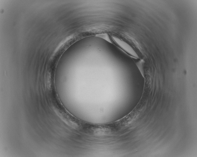 X0000074330400200609152102