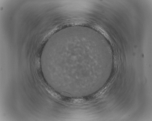 X0000074330401200609152102