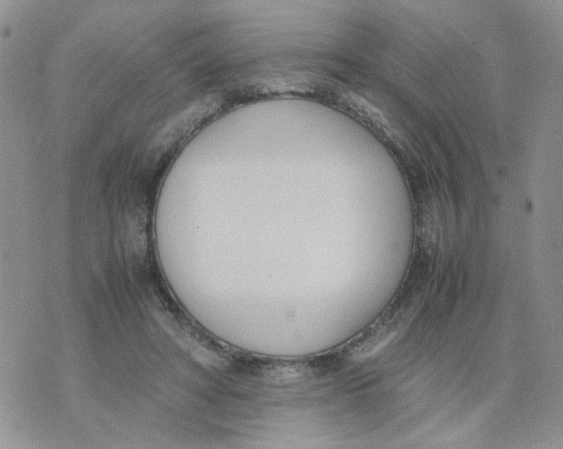 X0000074330402200609152102