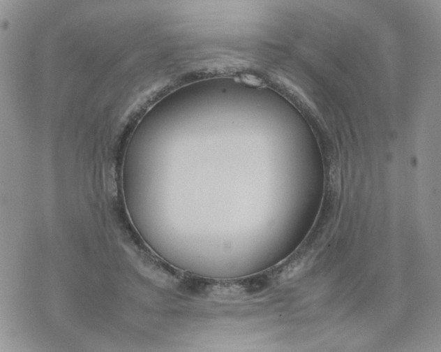 X0000074330403200609152102