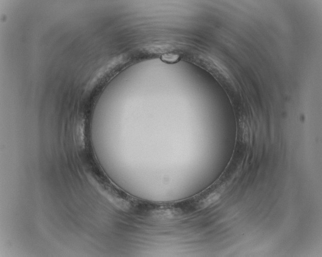 X0000074330404200609152102