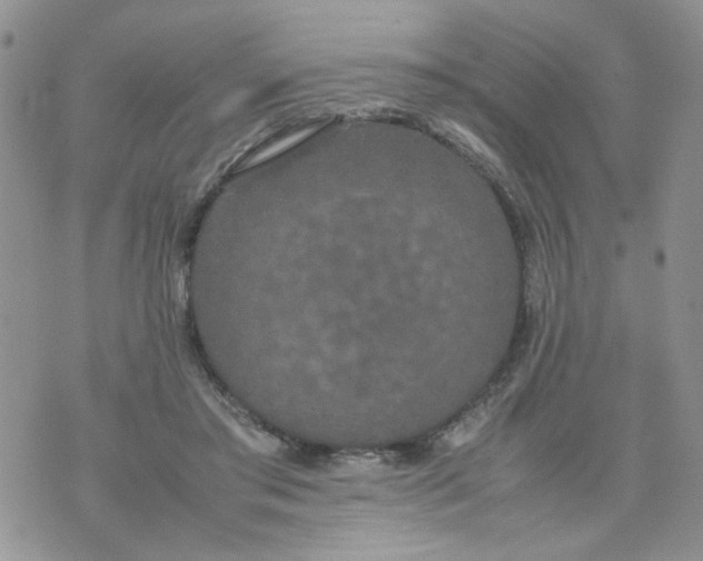 X0000074330405200609152102