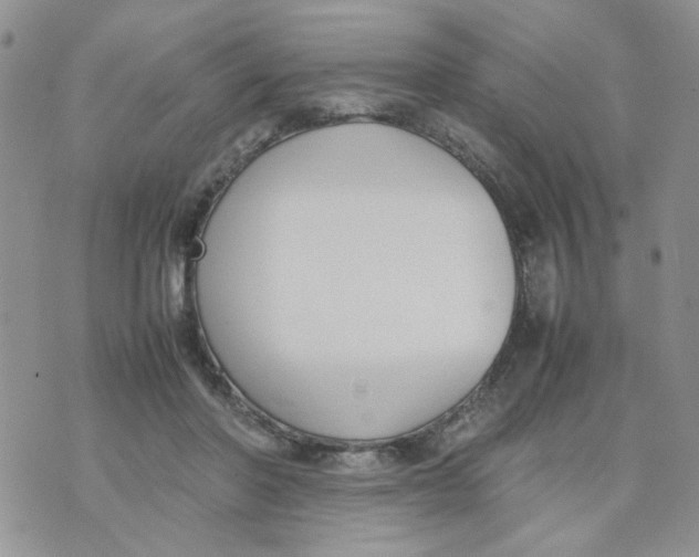 X0000074330406200609152102