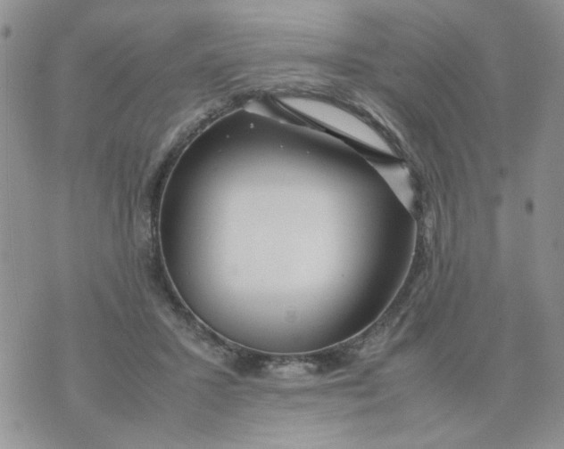 X0000074330407200609152102