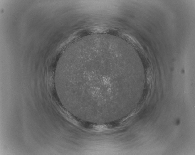 X0000074330409200609152102