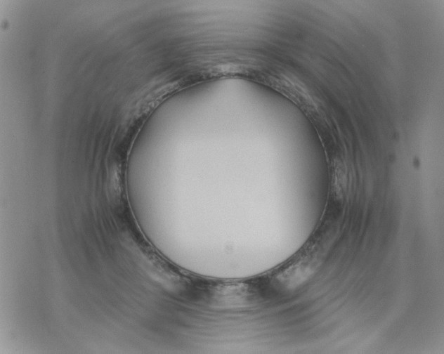 X0000074330410200609152102