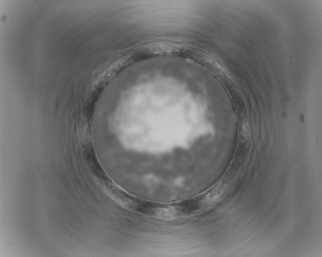 X0000074330411200609152102