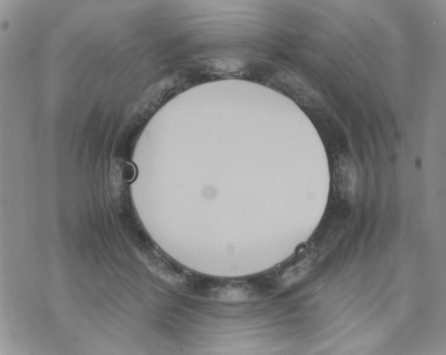 X0000074330412200609152102