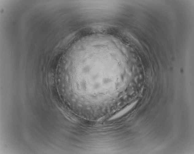 X0000074330413200609152102