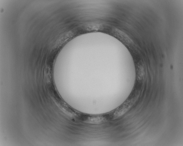 X0000074330414200609152102