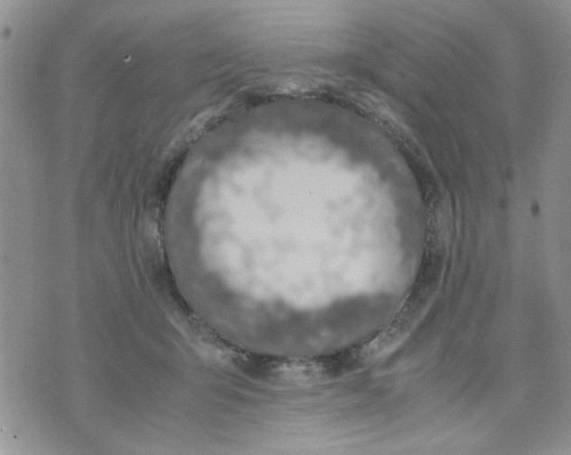 X0000074330415200609152102