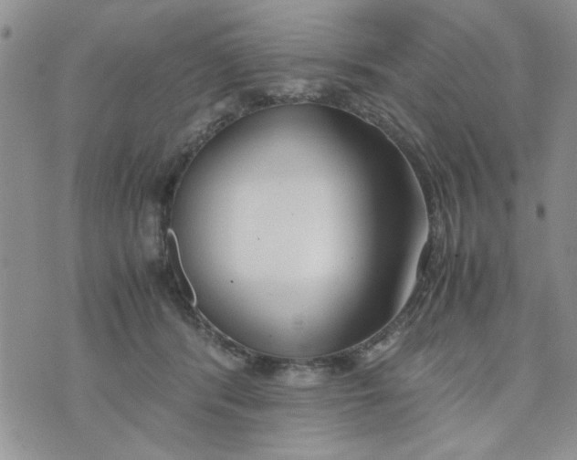 X0000074330416200609152102