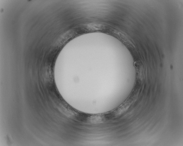 X0000074330418200609152102