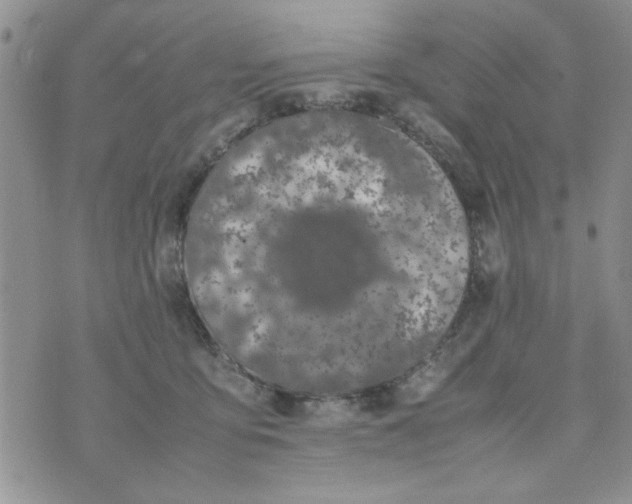 X0000074330419200609152102