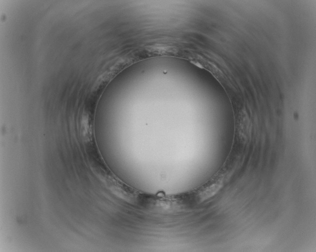 X0000074330420200609152102