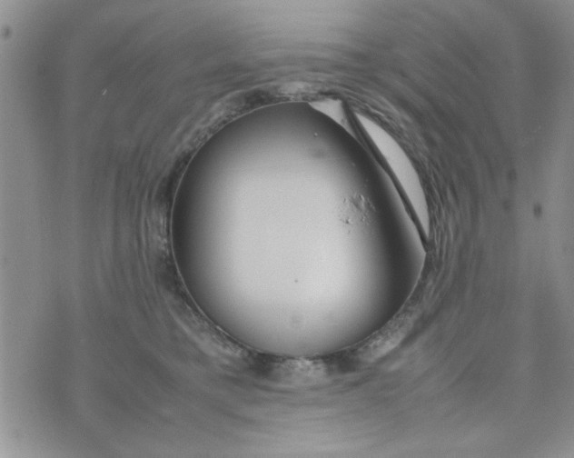 X0000074330421200609152102