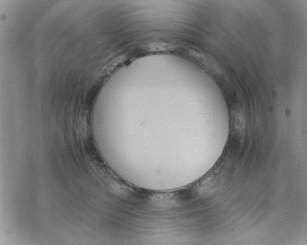 X0000074330422200609152102