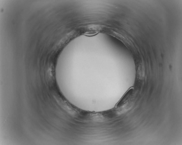 X0000074330424200609152101