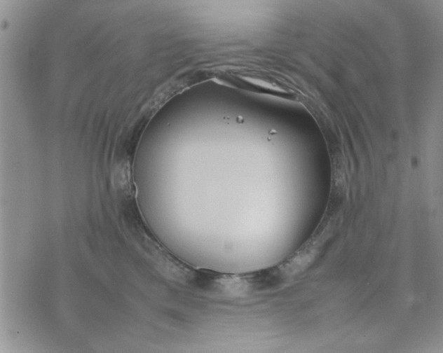 X0000074330425200609152101