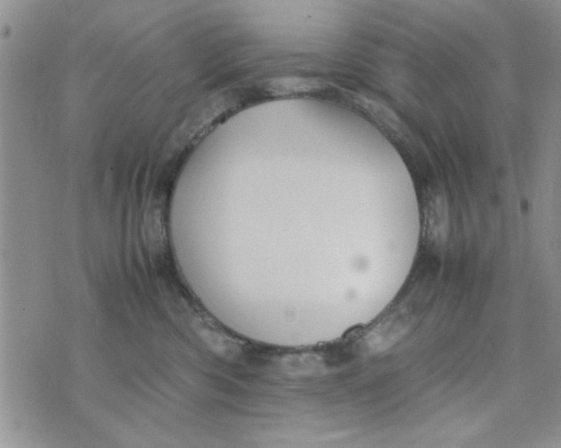 X0000074330426200609152101