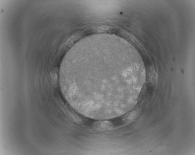 X0000074330427200609152101