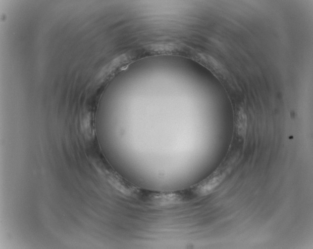 X0000074330428200609152101