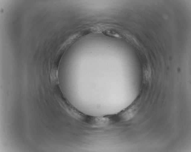 X0000074330429200609152101