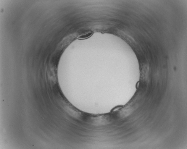 X0000074330430200609152101