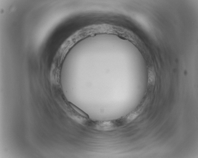 X0000074330431200609152101