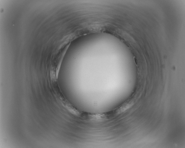 X0000074330432200609152101