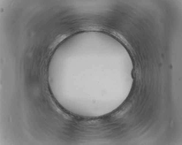 X0000074330433200609152101