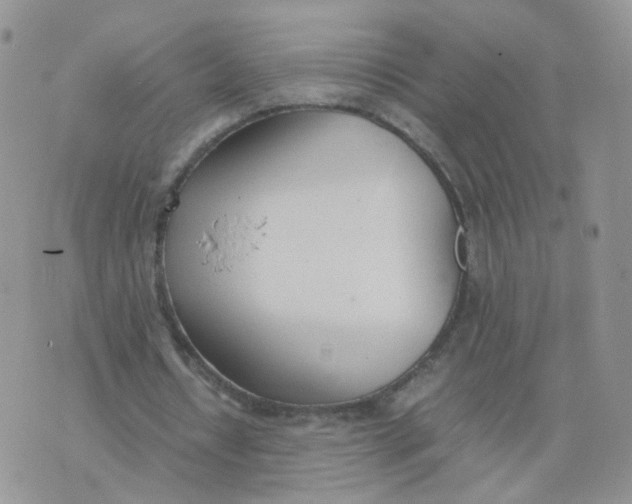 X0000074330434200609152101