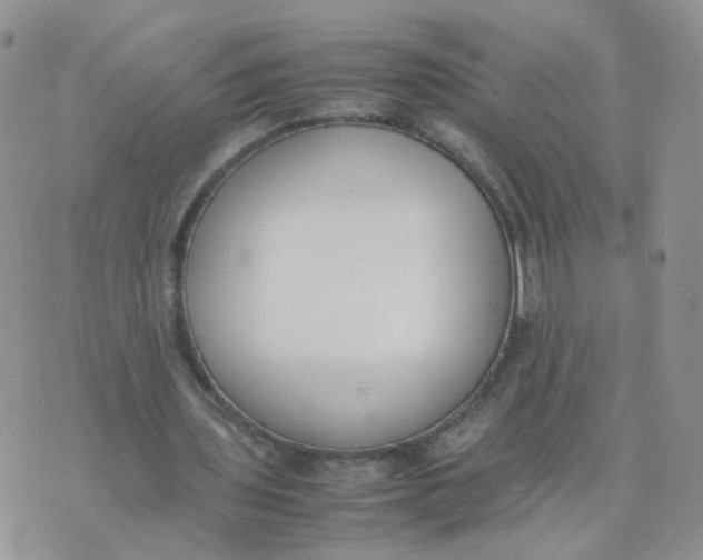 X0000074330435200609152101