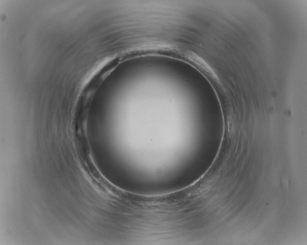 X0000074330436200609152101