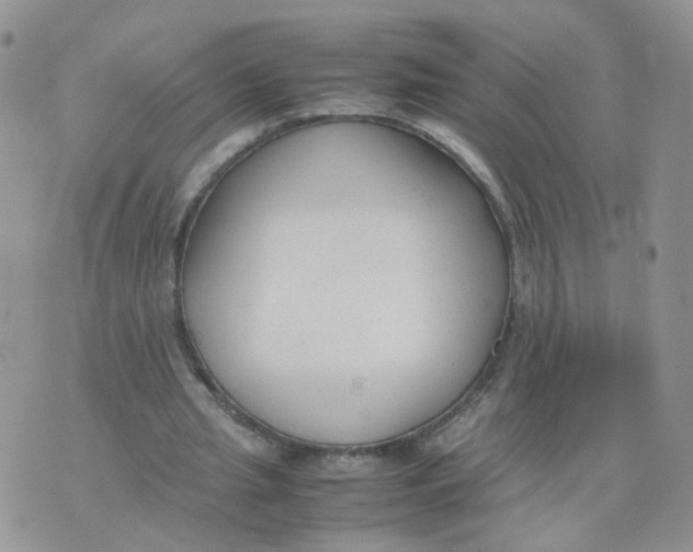 X0000074330437200609152101