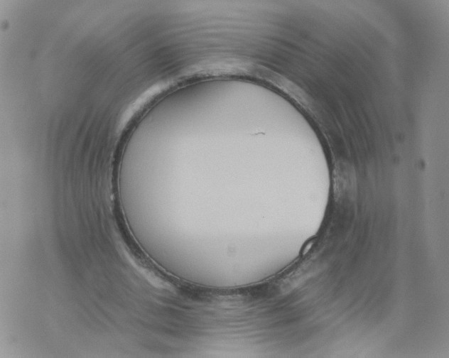 X0000074330438200609152101