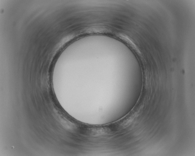 X0000074330439200609152101