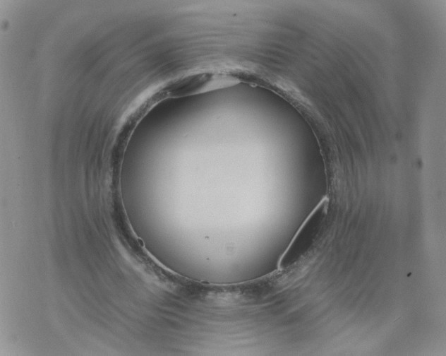 X0000074330440200609152101