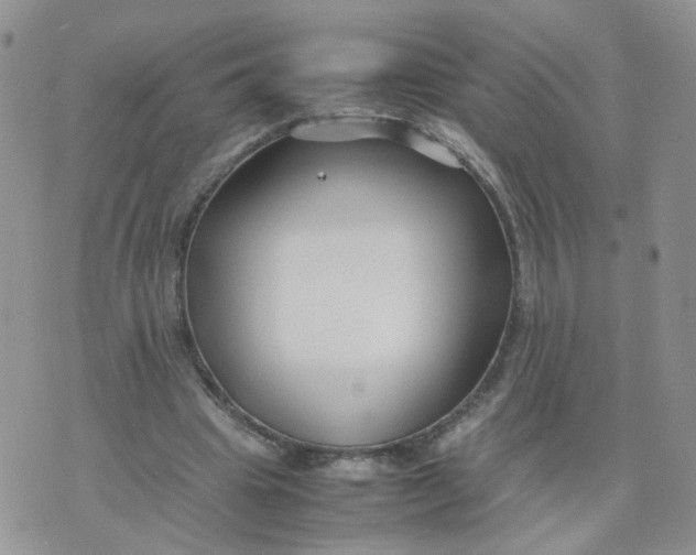 X0000074330441200609152101