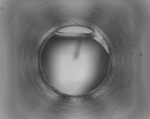 X0000074330442200609152101