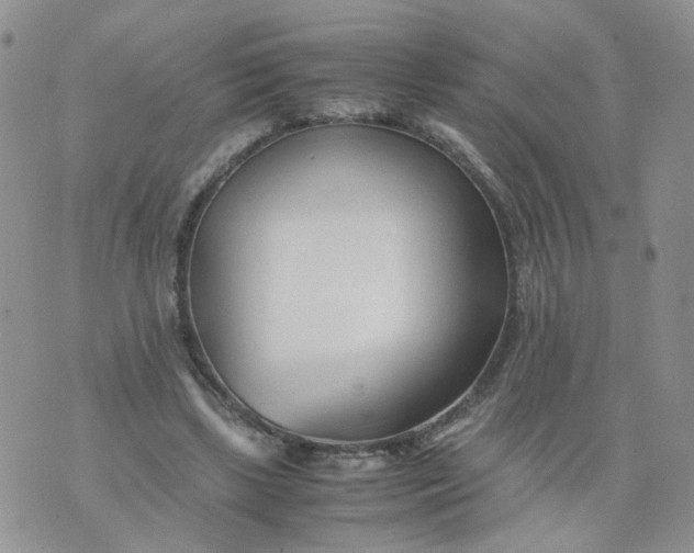 X0000074330443200609152101