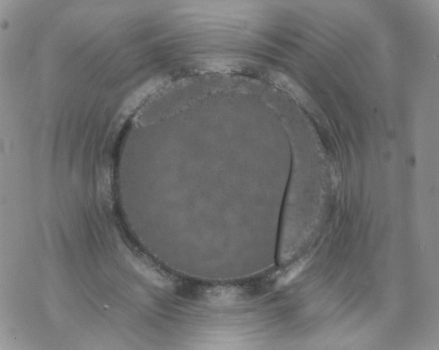 X0000074330444200609152101