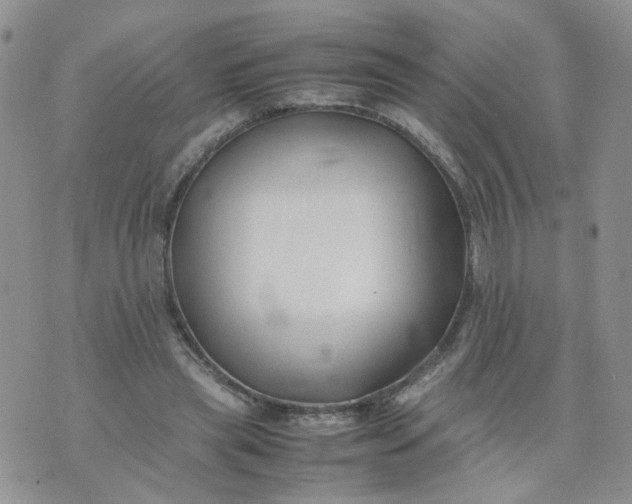 X0000074330445200609152101