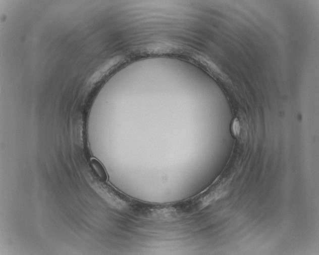 X0000074330446200609152101