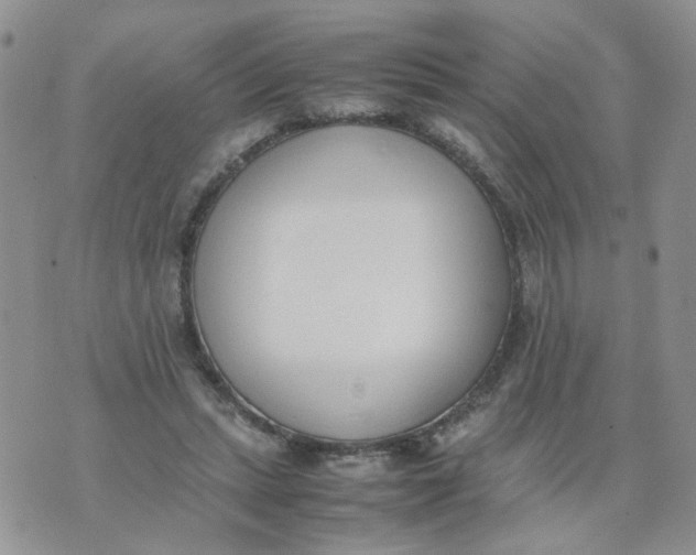 X0000074330447200609152101