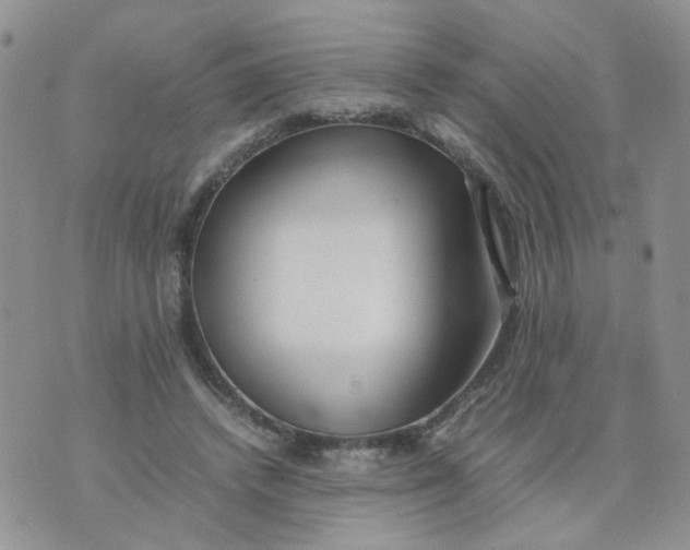 X0000074330448200609152101