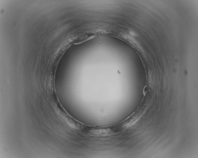 X0000074330449200609152101